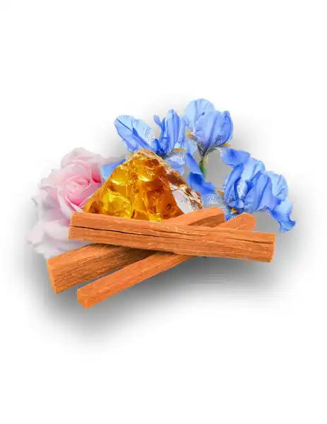 Sandalwood Musc Clean Fragrance - Clean Fragrances